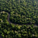 Deforestasi Hutan Amazon Meningkat dalam 15 Bulan Terakhir