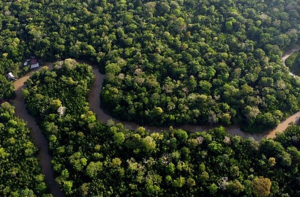 Deforestasi Hutan Amazon Meningkat dalam 15 Bulan Terakhir